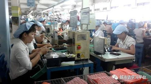 越南鞋業(yè)寒冬 老牌企業(yè)裁員近3000人，折射社會經(jīng)濟(jì)深層挑戰(zhàn)